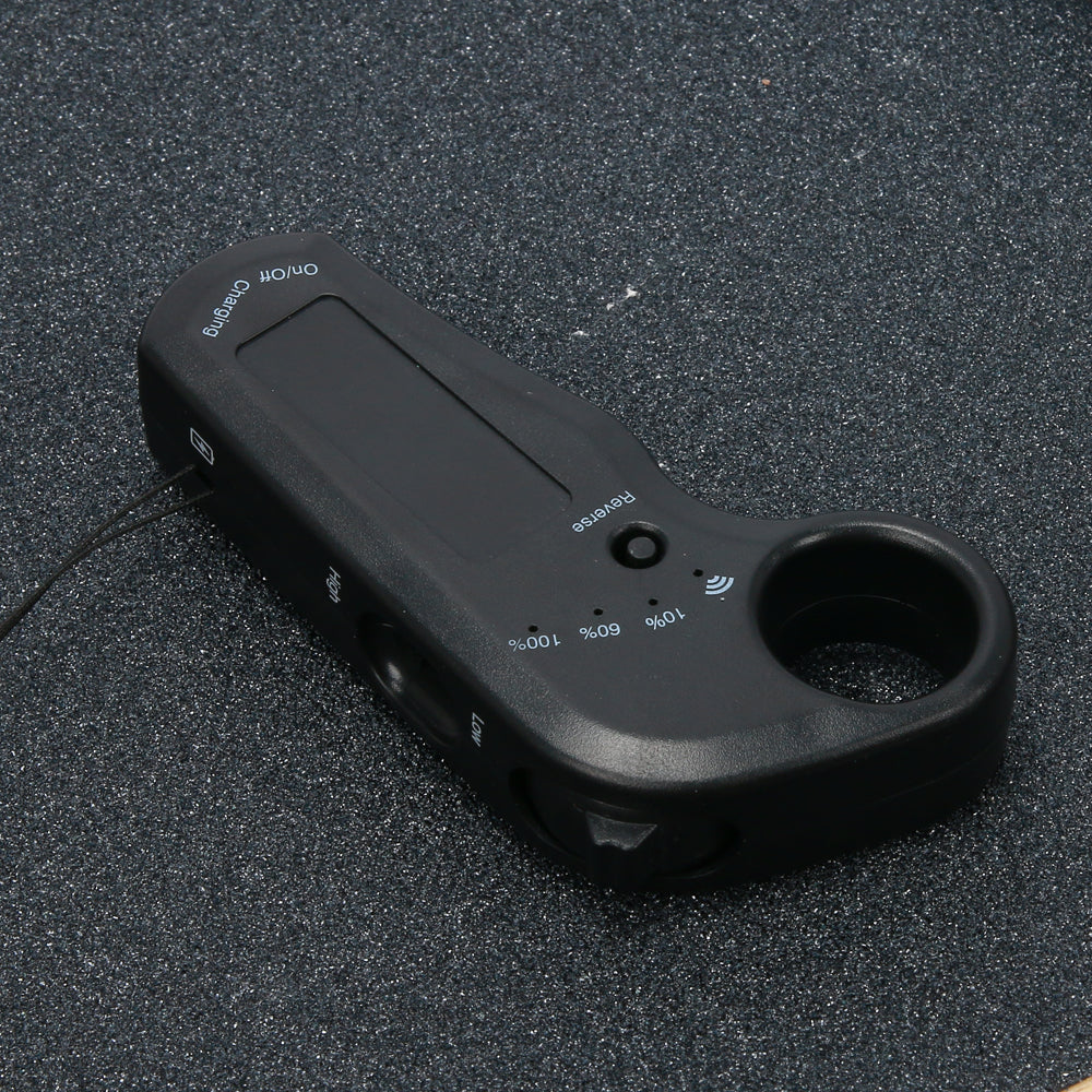 Apex Longboard Electric Skateboard With Remote
